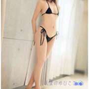 ヒメ日記 2025/11/14 23:24 投稿 りの 天使のゆびさき 船橋店(カサブランカグループ)