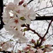 ヒメ日記 2026/03/24 21:02 投稿 りの 天使のゆびさき 船橋店(カサブランカグループ)