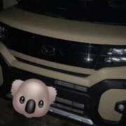 ヒメ日記 2025/11/26 20:59 投稿 ふう 成田富里インターちゃんこ