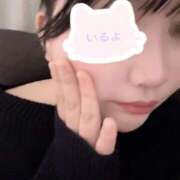 ヒメ日記 2026/02/05 19:08 投稿 ふう 成田富里インターちゃんこ