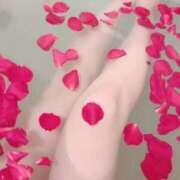 ヒメ日記 2025/11/05 18:48 投稿 うい 上野ハイブリッドマッサージ