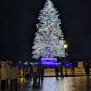 ヒメ日記 2025/12/16 12:29 投稿 まな Lesson.1 札幌校