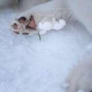 ヒメ日記 2025/12/31 13:28 投稿 まな Lesson.1 札幌校