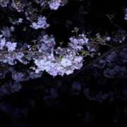 ヒメ日記 2026/04/02 07:32 投稿 ありあ ぽっちゃり巨乳素人専門店ぷにめろ池袋店