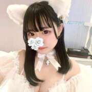 ヒメ日記 2026/02/19 11:32 投稿 うゆ ぽっちゃり巨乳素人専門店ぷにめろ池袋店