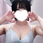 ヒメ日記 2026/05/03 11:42 投稿 かふか ぽっちゃり巨乳素人専門店ぷにめろ池袋店