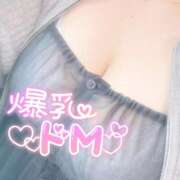 ヒメ日記 2025/11/13 13:42 投稿 るり ぽっちゃり巨乳素人専門店ぷにめろ池袋店