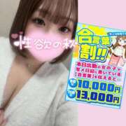 ヒメ日記 2025/11/14 15:44 投稿 るり ぽっちゃり巨乳素人専門店ぷにめろ池袋店