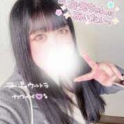 ヒメ日記 2025/12/07 00:02 投稿 くらん ぽっちゃり巨乳素人専門店ぷにめろ池袋店