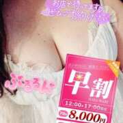 ヒメ日記 2025/12/16 14:02 投稿 くらん ぽっちゃり巨乳素人専門店ぷにめろ池袋店