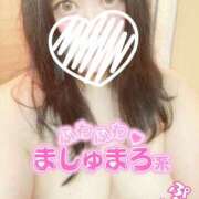 ヒメ日記 2026/05/01 12:03 投稿 くらん ぽっちゃり巨乳素人専門店ぷにめろ池袋店