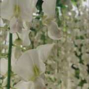 なのか もいもい！ ぽっちゃり巨乳素人専門店ぷにめろ池袋店