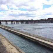 ヒメ日記 2026/01/14 08:52 投稿 なのか ぽっちゃり巨乳素人専門店ぷにめろ池袋店