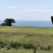 ヒメ日記 2026/01/23 12:19 投稿 なのか ぽっちゃり巨乳素人専門店ぷにめろ池袋店