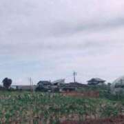 ヒメ日記 2026/03/14 17:42 投稿 なのか ぽっちゃり巨乳素人専門店ぷにめろ池袋店