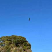 ヒメ日記 2026/04/03 12:03 投稿 なのか ぽっちゃり巨乳素人専門店ぷにめろ池袋店