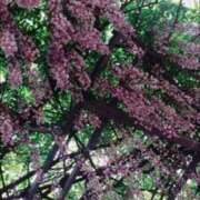 ヒメ日記 2026/04/21 12:05 投稿 なのか ぽっちゃり巨乳素人専門店ぷにめろ池袋店