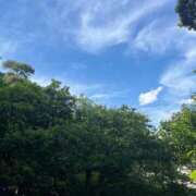 ヒメ日記 2026/05/09 20:02 投稿 なのか ぽっちゃり巨乳素人専門店ぷにめろ池袋店