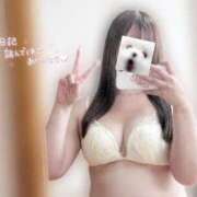 こはく 明日急遽います😻💨 ぽっちゃり巨乳素人専門店ぷにめろ池袋店