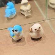 ヒメ日記 2025/11/14 15:12 投稿 すず ぽっちゃり巨乳素人専門店ぷにめろ池袋店