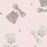 ヒメ日記 2025/11/16 22:42 投稿 うたの ぽっちゃり巨乳素人専門店ぷにめろ池袋店