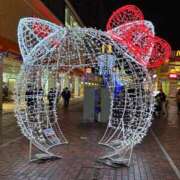 ヒメ日記 2025/12/22 14:08 投稿 りんね 無我（むが）