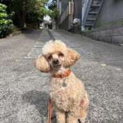 ヒメ日記 2025/11/01 20:41 投稿 こう 東京人妻セレブリティ（ユメオト）