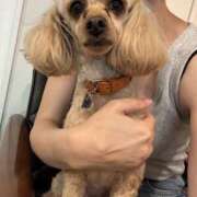 ヒメ日記 2025/11/02 06:42 投稿 こう 東京人妻セレブリティ（ユメオト）