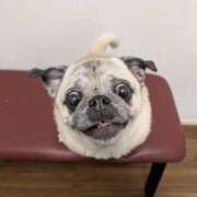 ヒメ日記 2025/11/15 10:18 投稿 米倉みすず ウルトラロイヤル