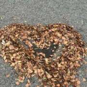 ヒメ日記 2025/11/15 13:08 投稿 米倉みすず ウルトラロイヤル