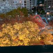 ヒメ日記 2025/11/29 12:08 投稿 米倉みすず ウルトラロイヤル