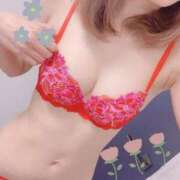 ヒメ日記 2026/02/05 15:55 投稿 あやり 性処理専用奴隷女