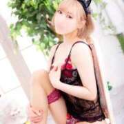 ヒメ日記 2025/11/05 09:22 投稿 ねこ チューリップ姫路店