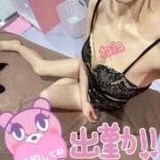 ヒメ日記 2025/11/25 10:30 投稿 ねこ チューリップ姫路店