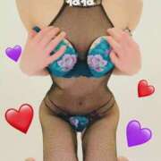 ヒメ日記 2025/11/26 16:33 投稿 ねこ チューリップ姫路店