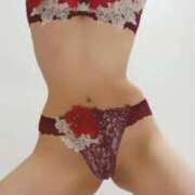 ヒメ日記 2025/11/27 09:20 投稿 ねこ チューリップ姫路店