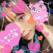 ヒメ日記 2025/11/27 14:01 投稿 ねこ チューリップ姫路店