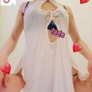 ヒメ日記 2025/11/27 15:38 投稿 ねこ チューリップ姫路店