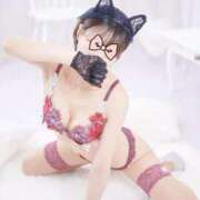 ヒメ日記 2025/11/28 05:40 投稿 ねこ チューリップ姫路店