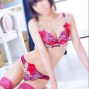 ヒメ日記 2025/11/28 12:20 投稿 ねこ チューリップ姫路店