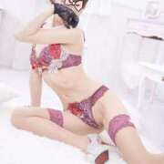 ヒメ日記 2025/11/28 17:00 投稿 ねこ チューリップ姫路店