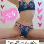 ヒメ日記 2025/11/29 20:05 投稿 ねこ チューリップ姫路店