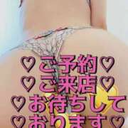 ヒメ日記 2025/11/30 03:40 投稿 ねこ チューリップ姫路店