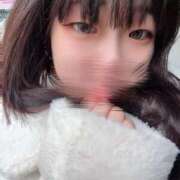 ヒメ日記 2025/11/22 18:09 投稿 さく スピードエコ日本橋店