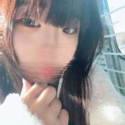 ヒメ日記 2025/11/26 10:19 投稿 さく スピードエコ日本橋店