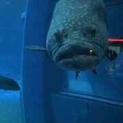 ヒメ日記 2026/03/26 20:19 投稿 さく スピードエコ日本橋店