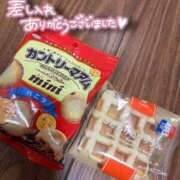ユキノ お茶会🍵 ファーストレディー
