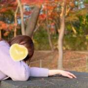 ヒメ日記 2025/11/17 20:35 投稿 高村まひろ コウテイ