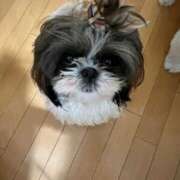 ジュリア 15:20-🈳 マリン千葉店