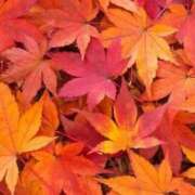 ヒメ日記 2025/10/31 08:26 投稿 ゆき 大奥 梅田店